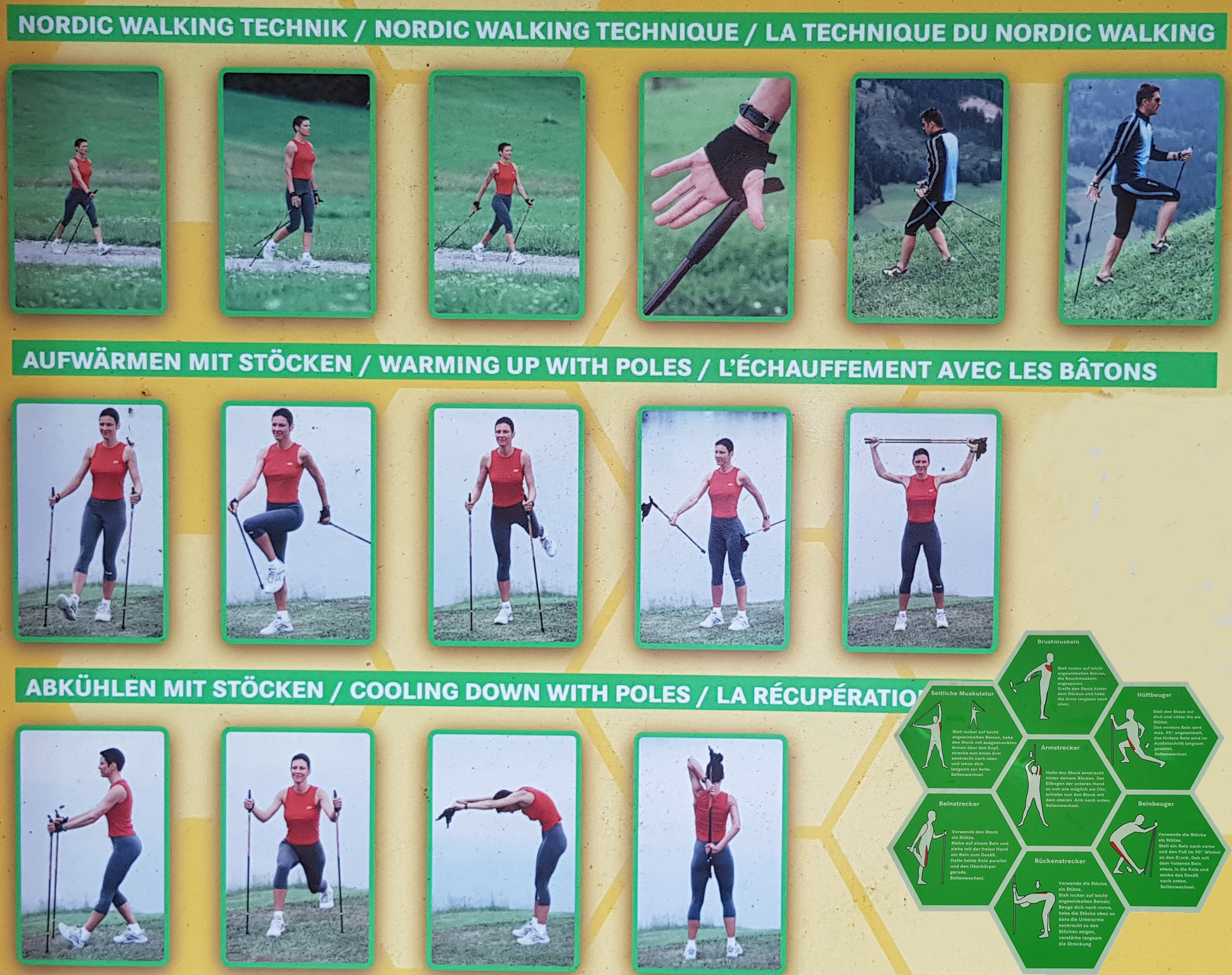 NordicWalkingTechnik